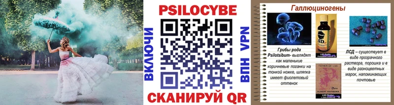 купить закладку  Чердынь  Псилоцибиновые грибы Psilocybine cubensis 